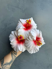 XL HIBISCUS Sei