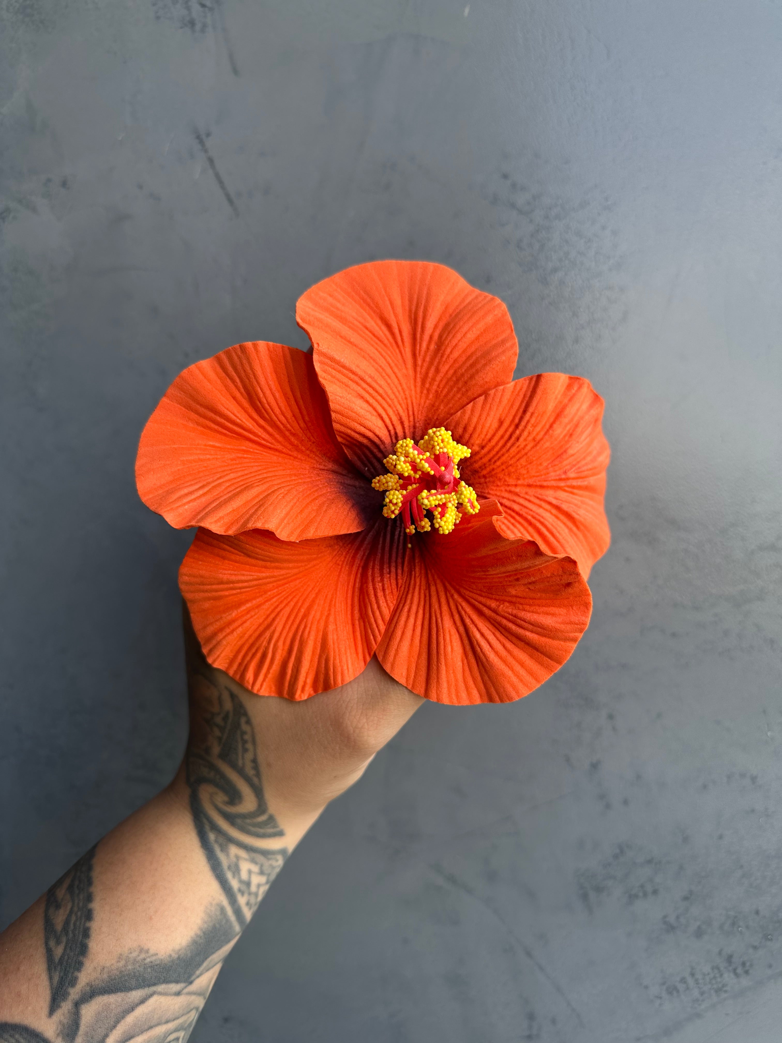 XL HIBISCUS Sei