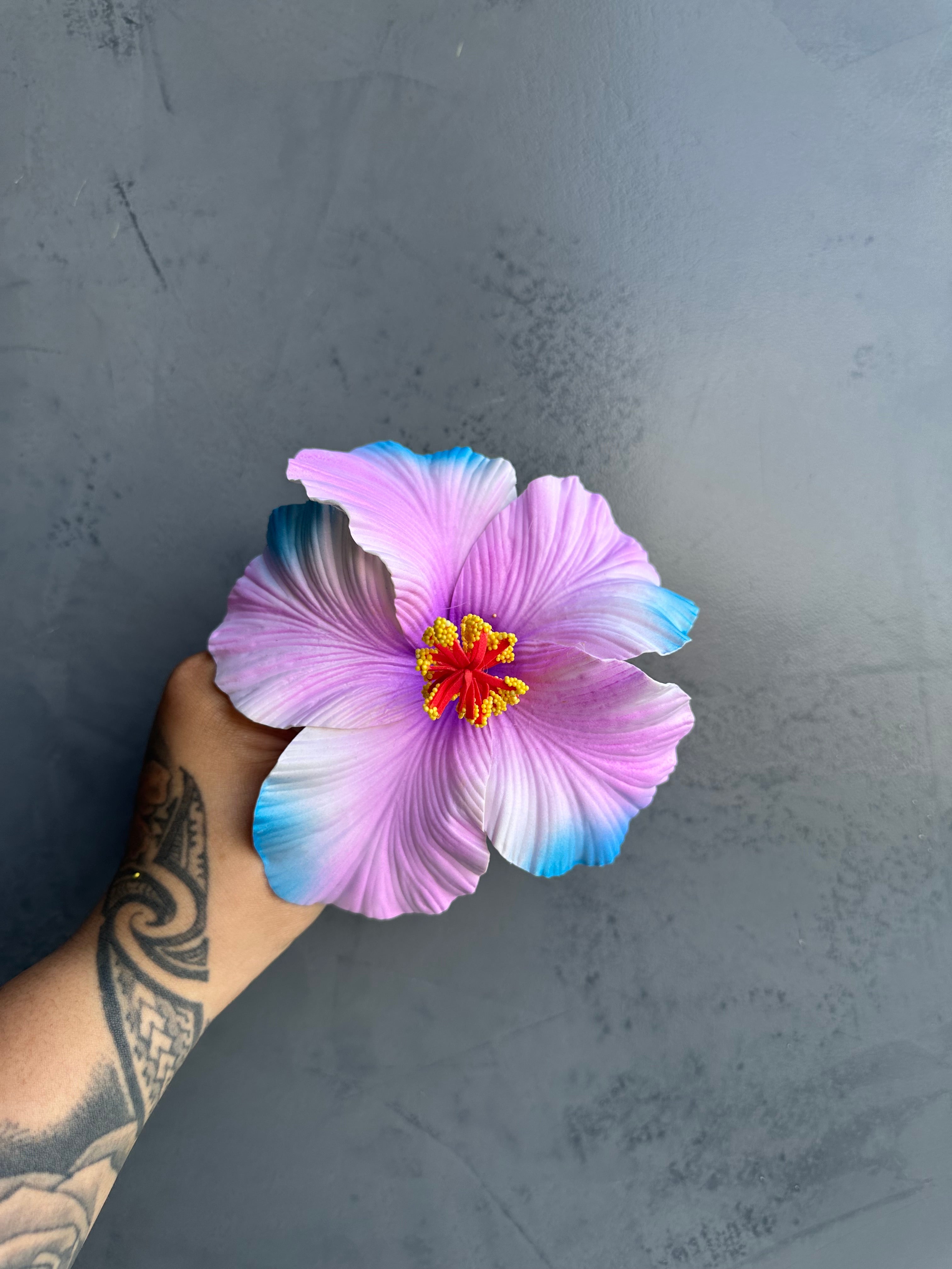 XL HIBISCUS Sei
