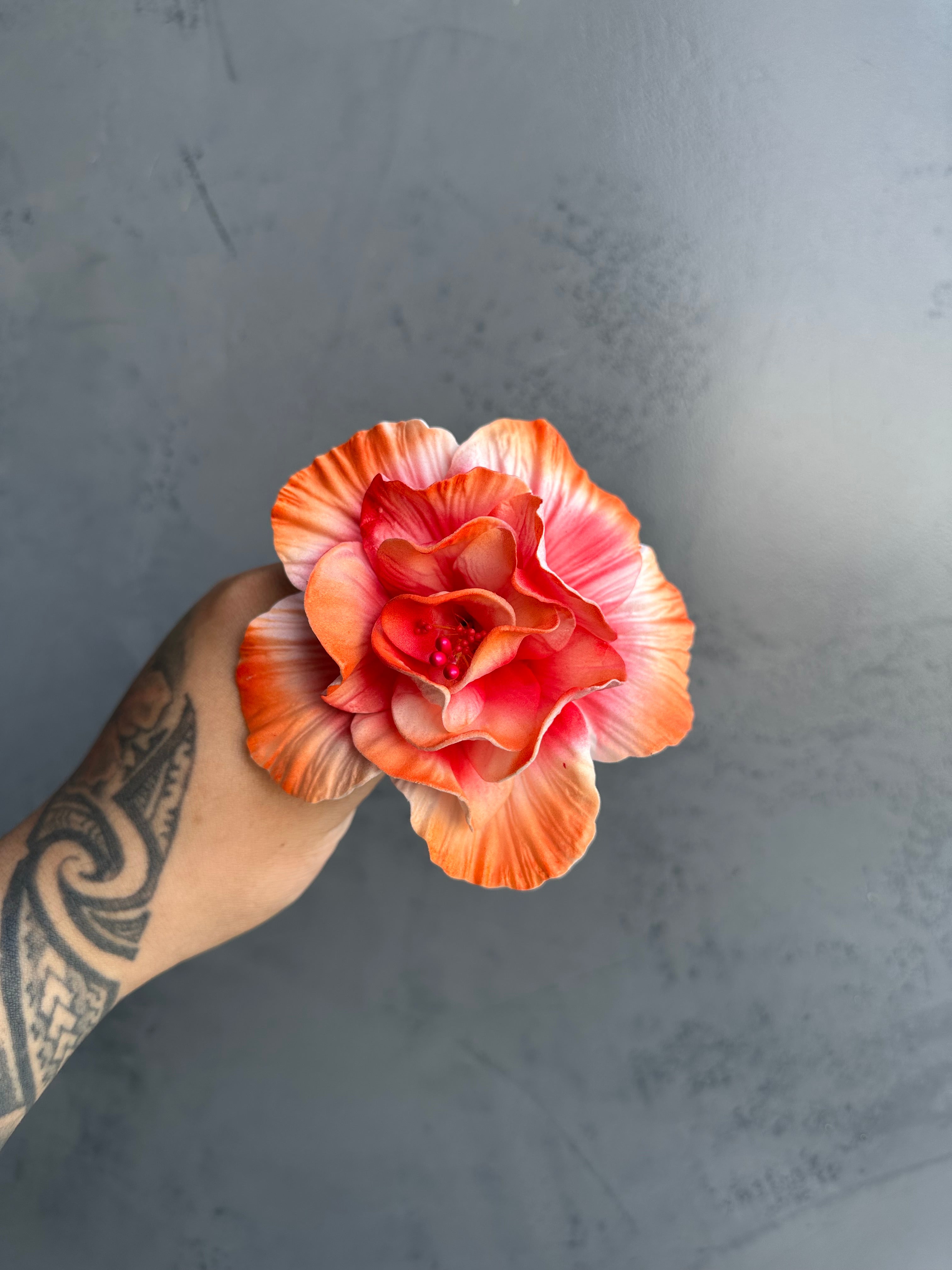 HIBISCUS Sei - 12cm