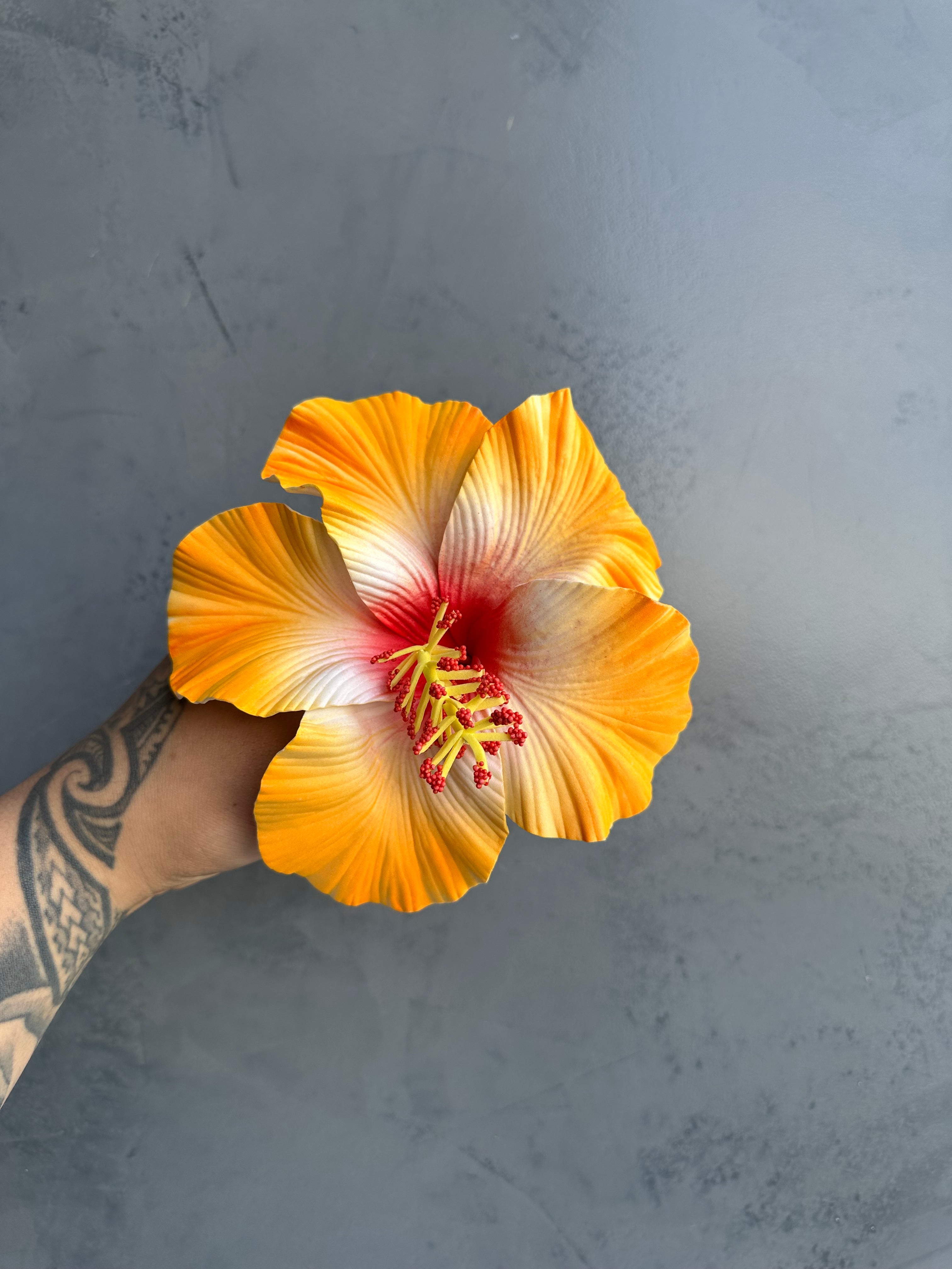 XL HIBISCUS Sei