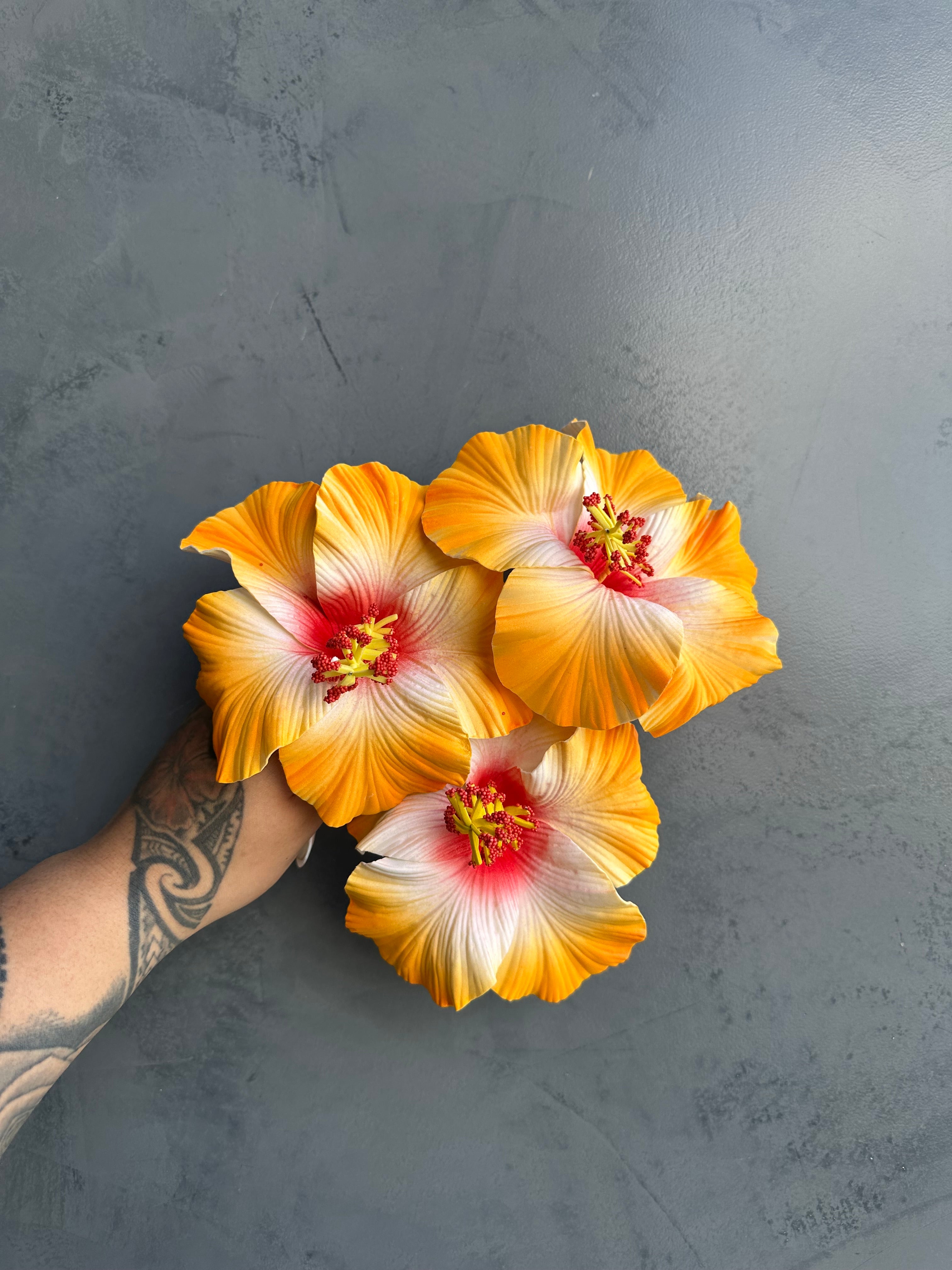 XL HIBISCUS Sei