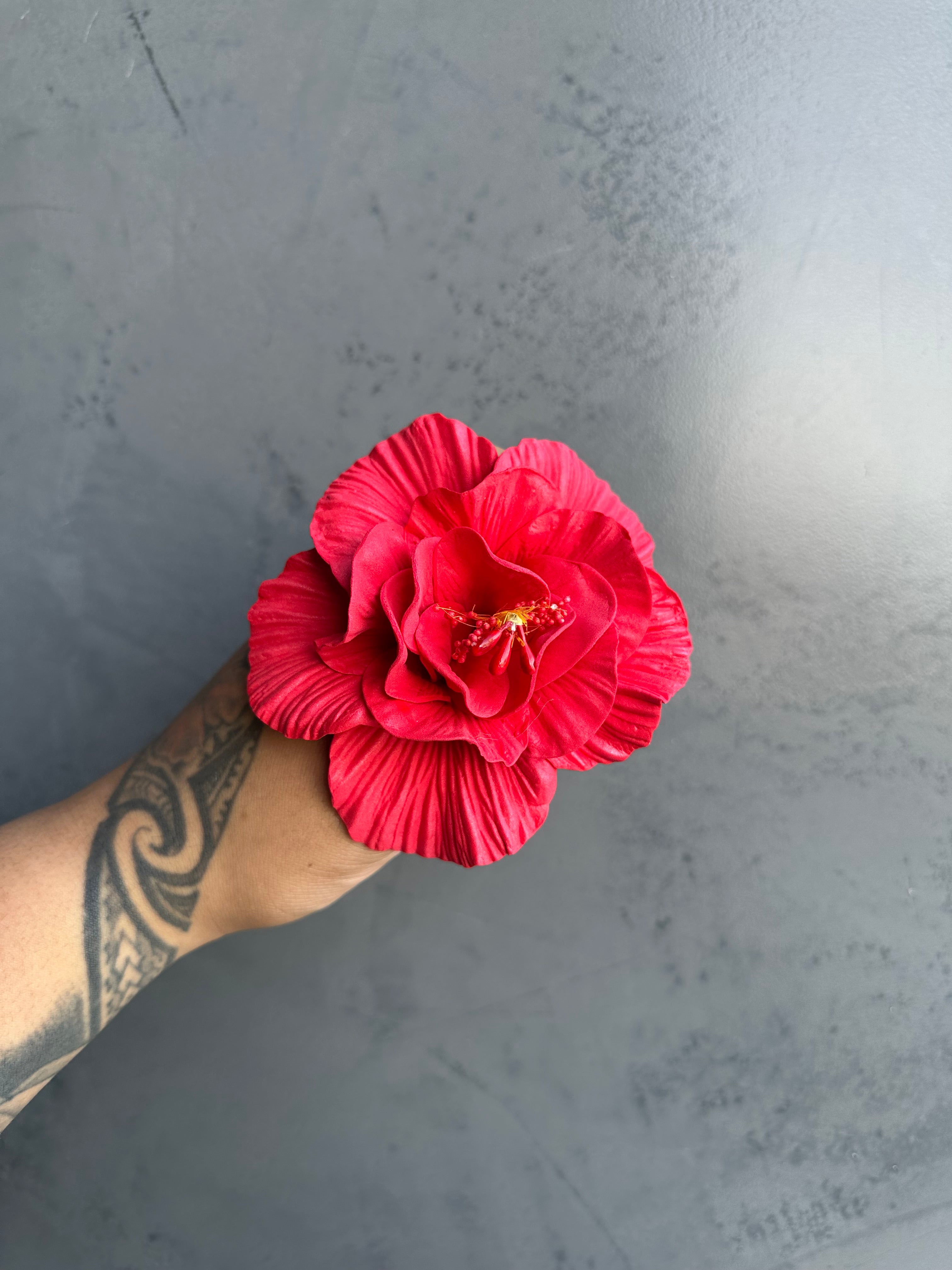 HIBISCUS Sei - 12cm