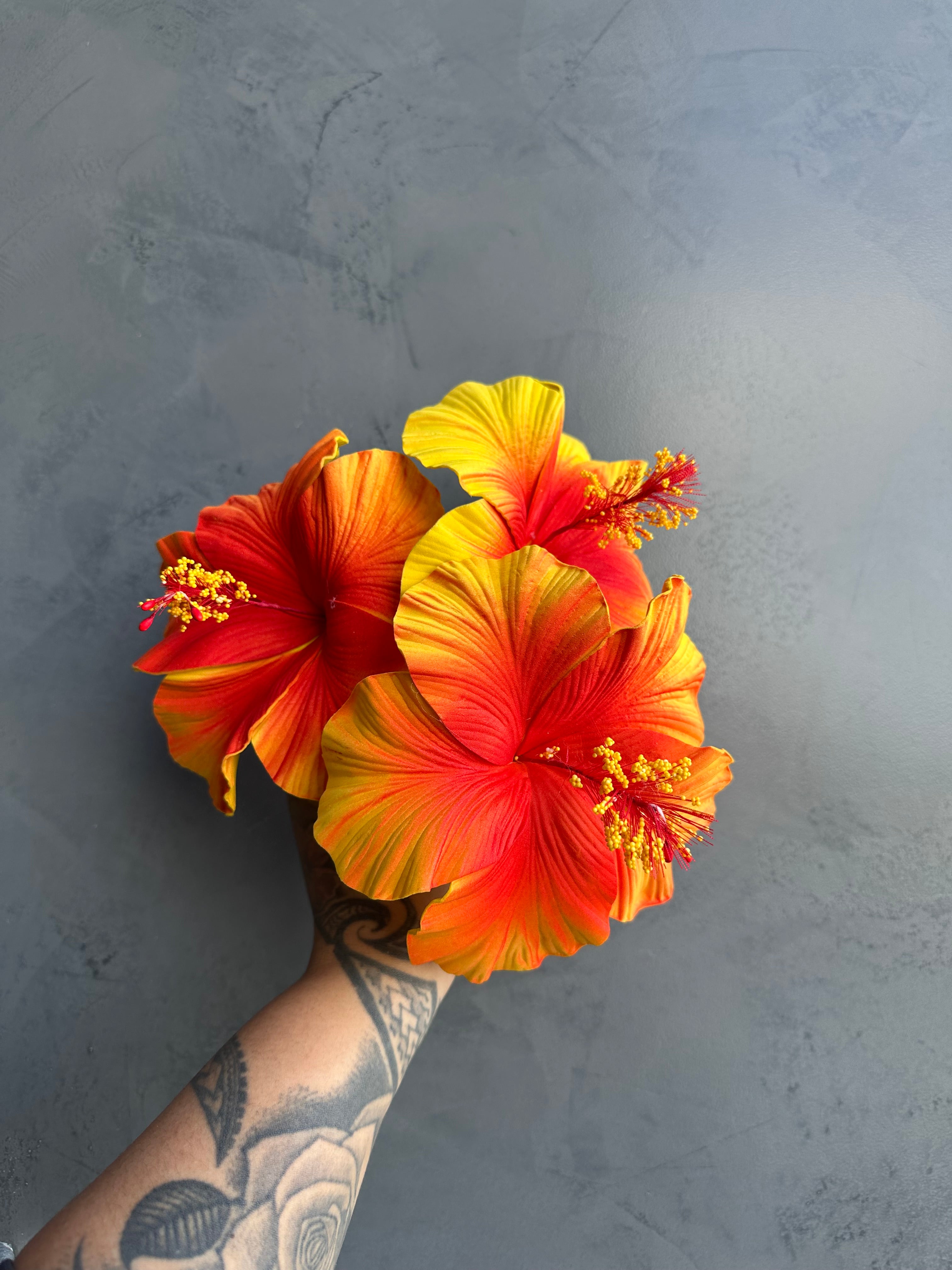 XL HIBISCUS Sei