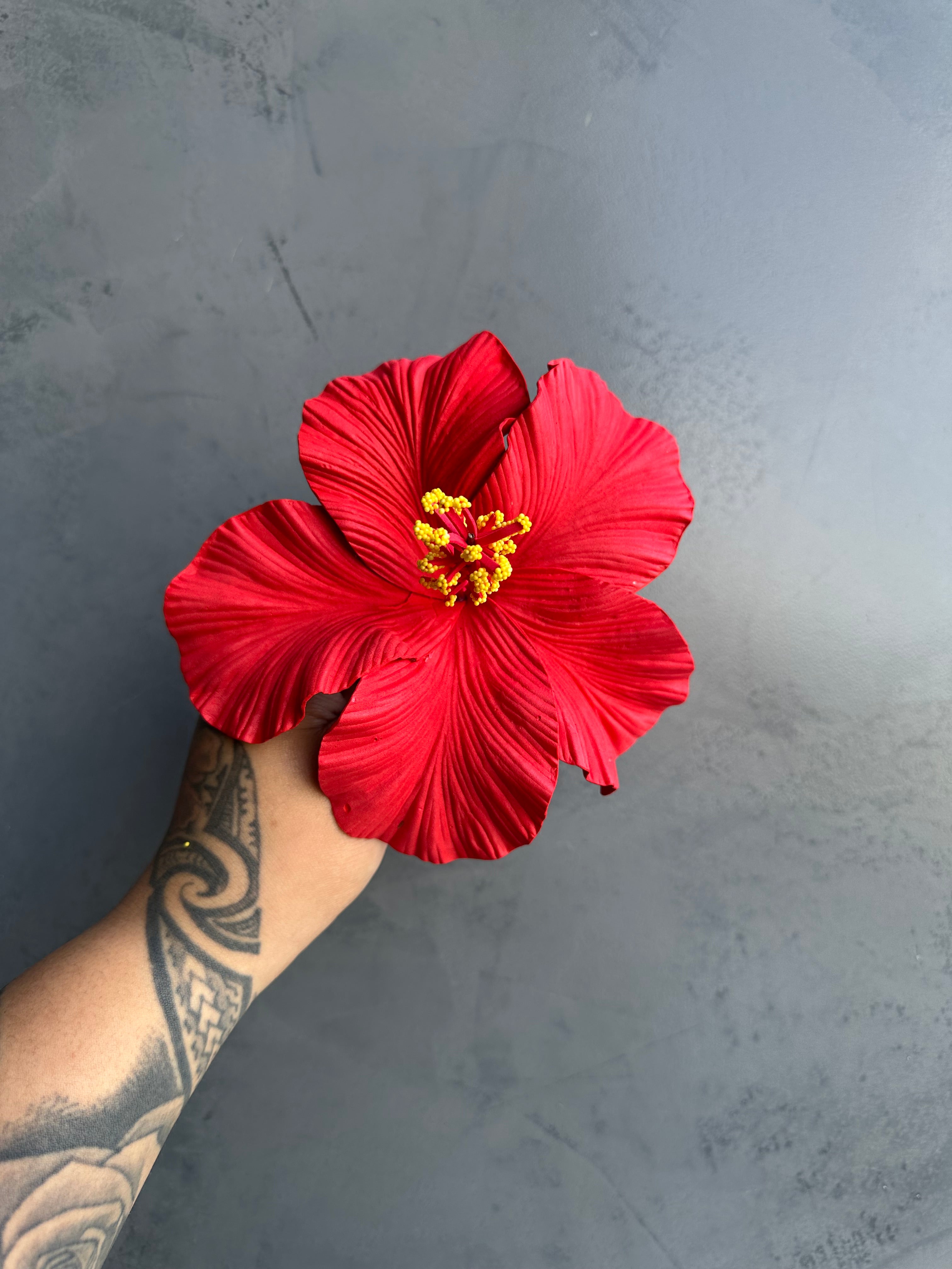 XL HIBISCUS Sei