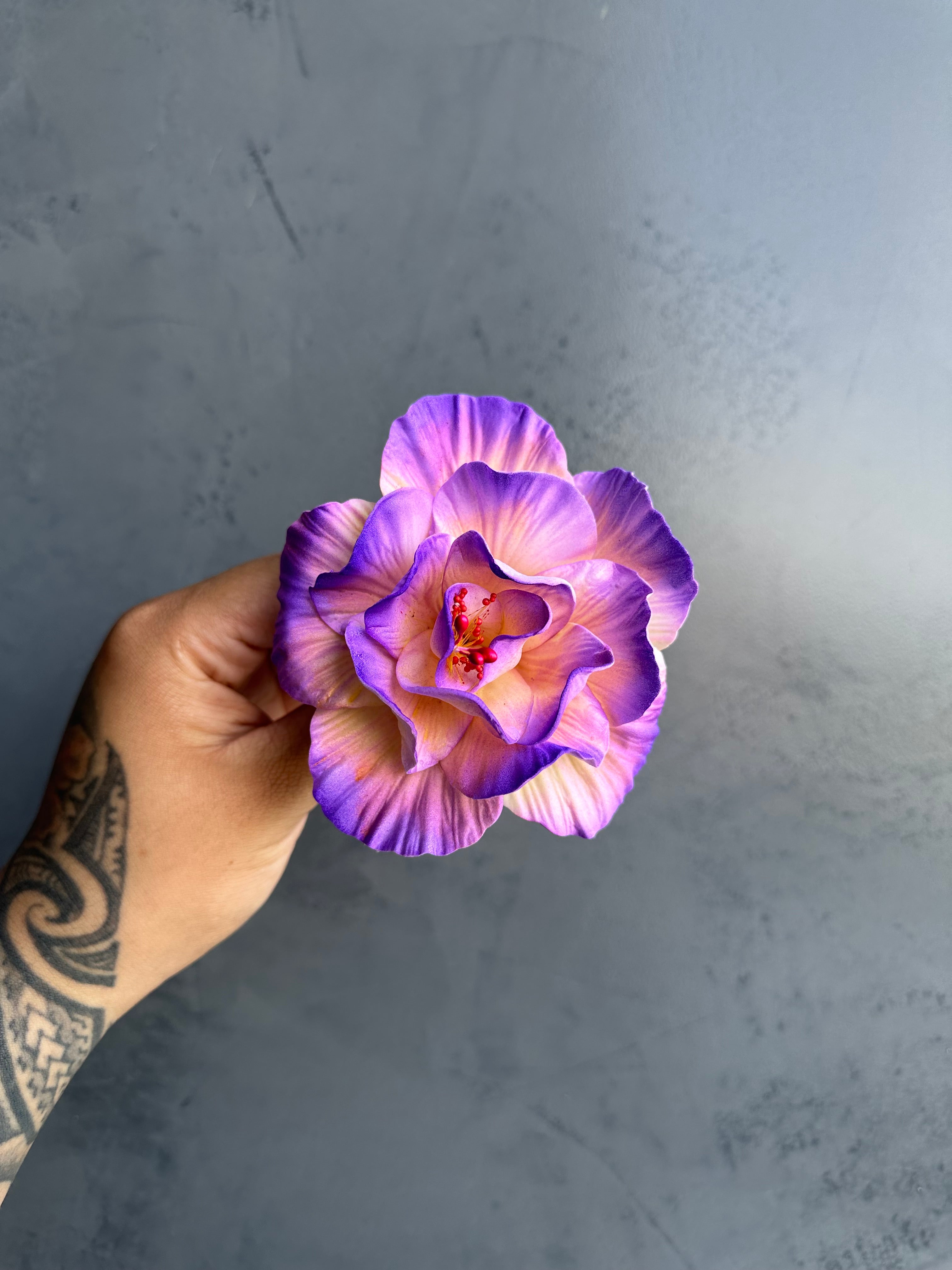 HIBISCUS Sei - 12cm