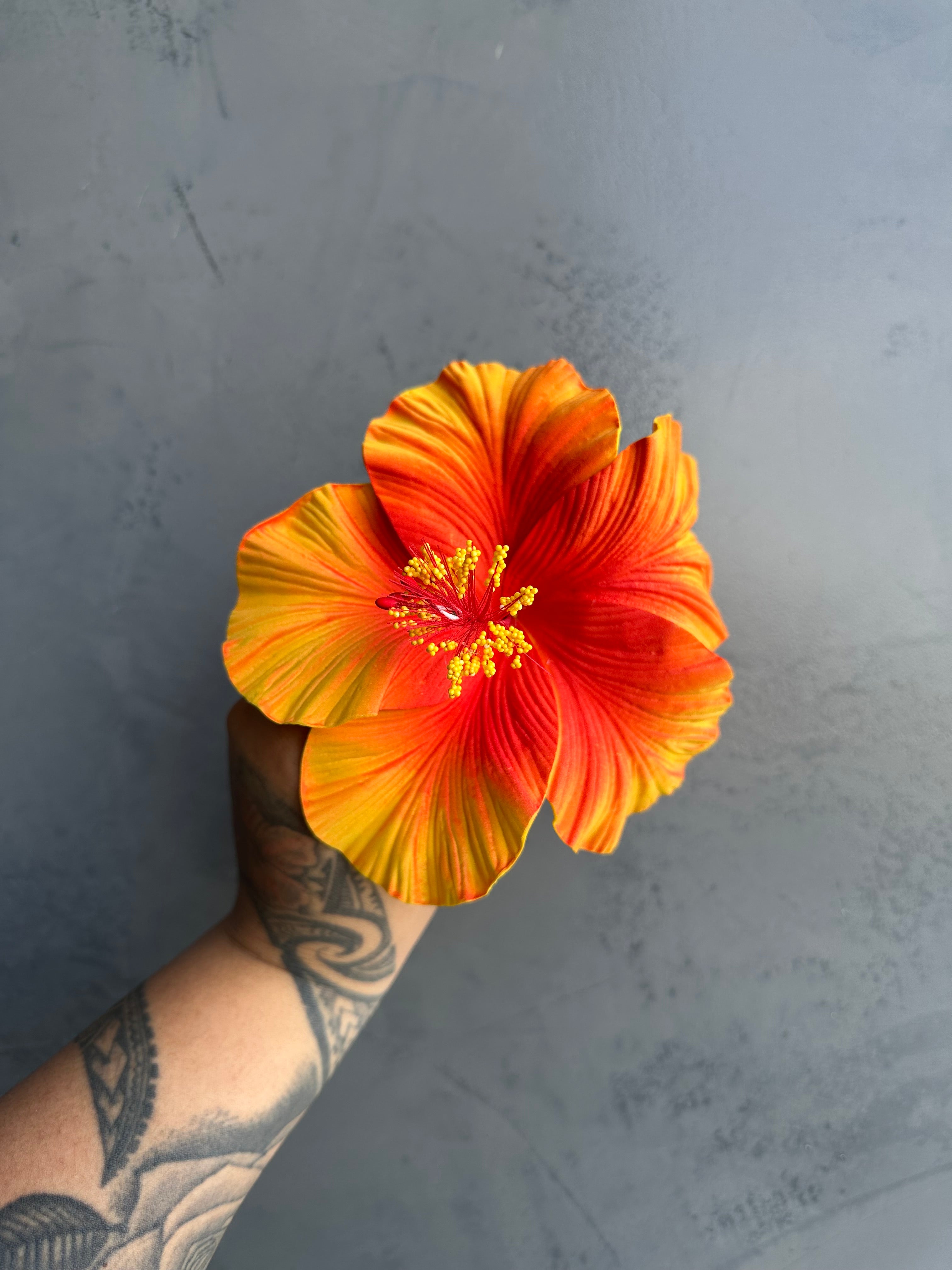 XL HIBISCUS Sei