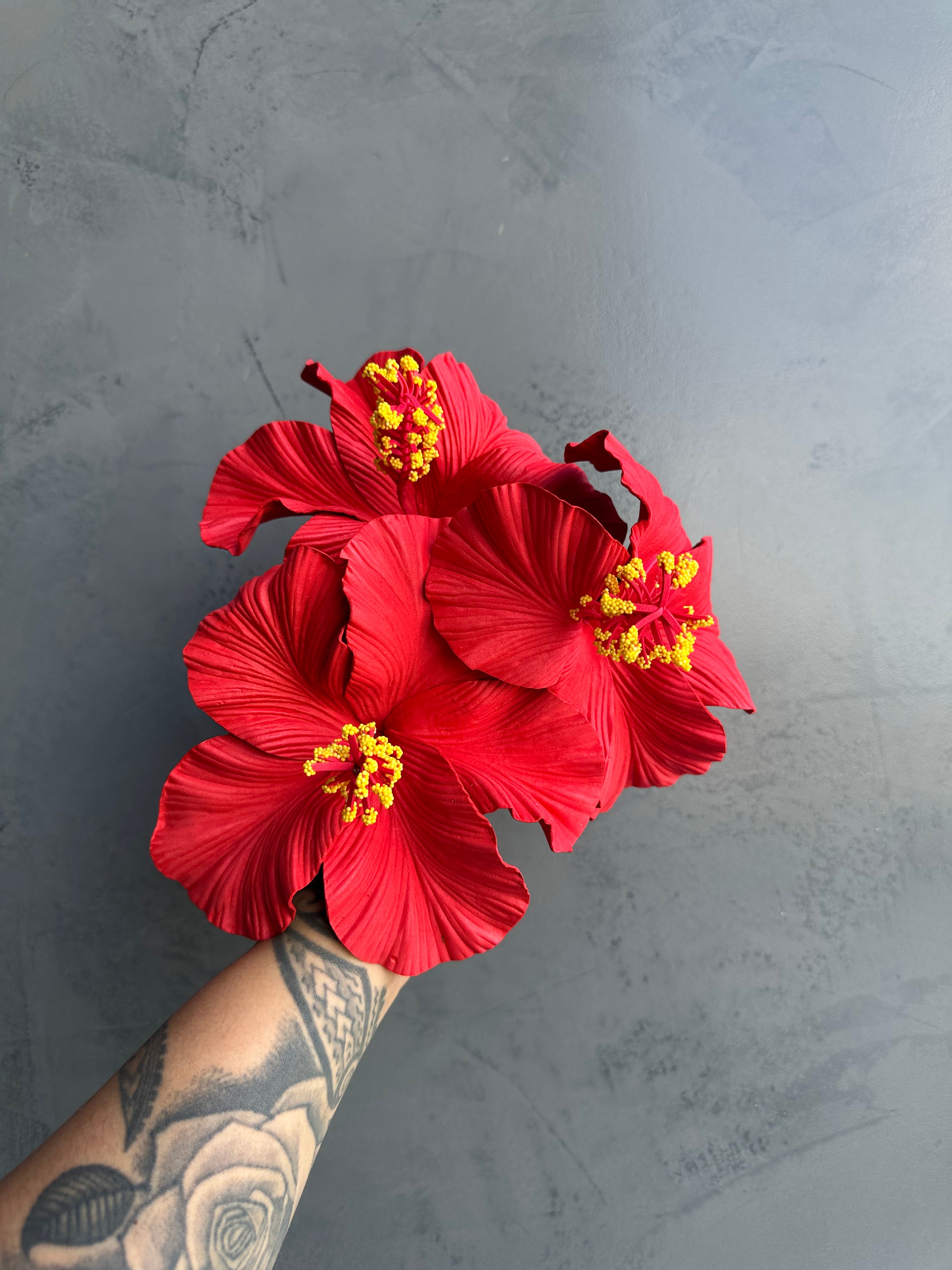XL HIBISCUS Sei